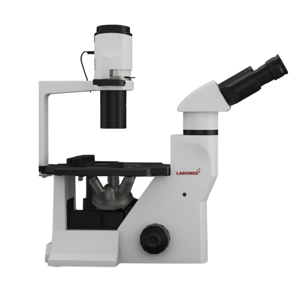 Microscopio Invertido Binocular Tcm 400 Labomed