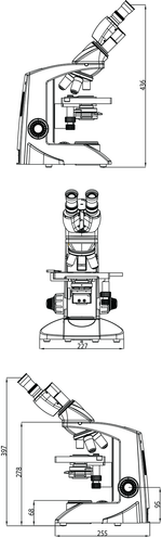Microscopio Binocular Lx300 Labomed - vista 5
